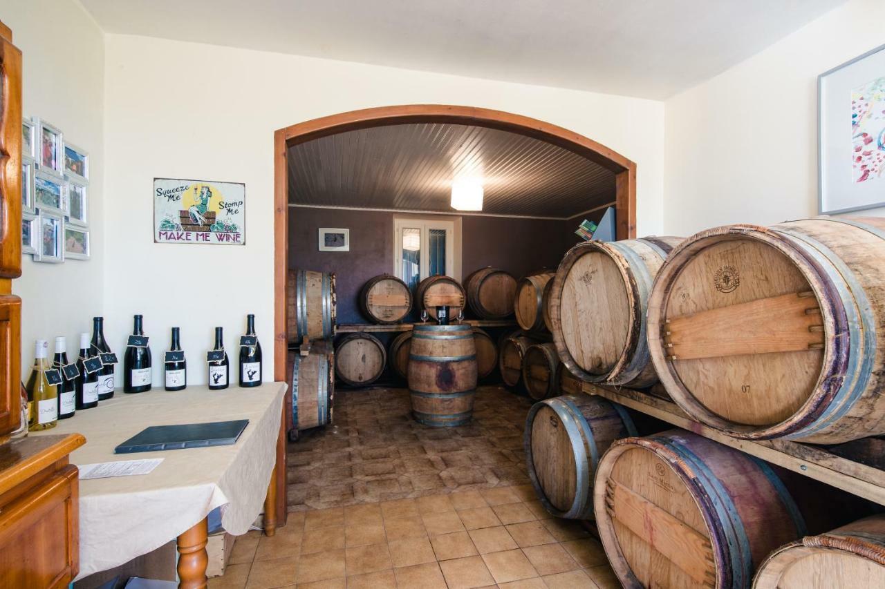Domaine Rouge-Bleu Bed & Breakfast Sainte-Cécile-les-Vignes Екстериор снимка